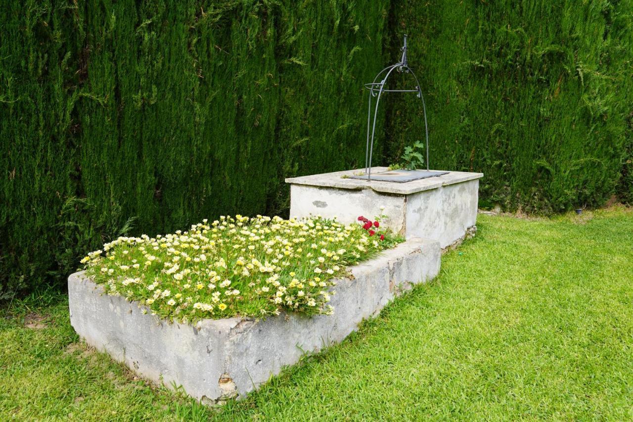 Casina Mozart Lecce Bed & Breakfast Magliano Bagian luar foto